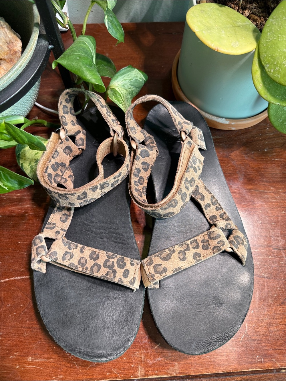 TEVA leopard sandals - leather